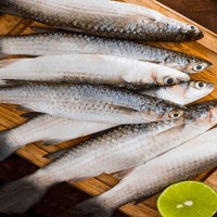Parshe Fish (পারশে মাছ) – 8–10 Pieces/kg