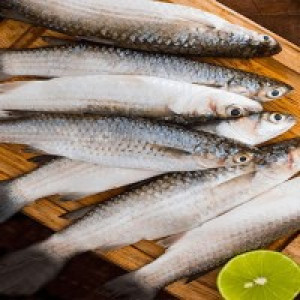 Local Fish Local Fish