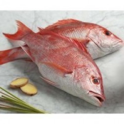 Red Snapper (রেড স্নেপার) – Whole 1–2 kg (Frozen)