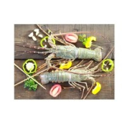 Sea Lobster Whole (সামুদ্রিক গলদা চিংড়ি) – 500 g