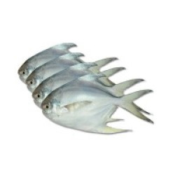 Silver Pomfret Fish (রুপচাঁদা সিলভার) – 6–7 Pieces/kg