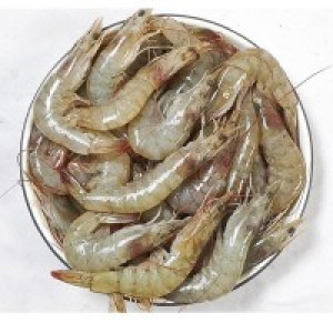 Organic Shrimp