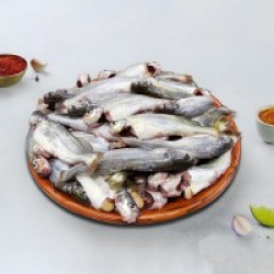 Tengra Fish (টেংরা মাছ) – 8–12 Pieces/kg