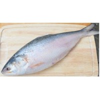 Barishal Hilsa Fish (নদীর ইলিশ - বরিশাল) – (Net Weight 1 kg ±50 g)